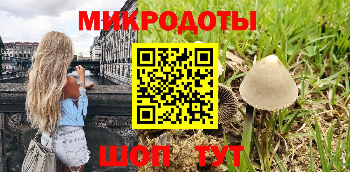 Новошахтинск  Галлюциногенные грибы мицелий  Псилоцибиновые грибы Psilocybine cubensis  Вход с VPN 