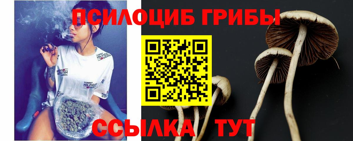 Псилоцибиновые грибы ЛСД Новошахтинск